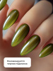 Гель лак кошачий глаз Neon Party Cat Eye Global Fashion, 8мл, 010