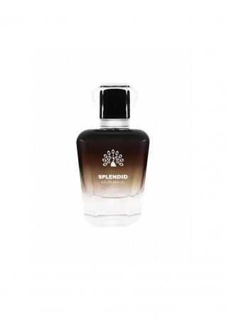Парфюмерная вода от Global Fashion 100 ml, Splendid
