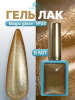 Гель лак кошачий глаз, Global Fashion, Magic Glaze cat eyes, 8ml, 04