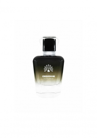Парфюмерная вода от Global Fashion 100 ml, Obsidian