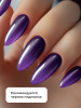 Гель лак кошачий глаз Neon Party Cat Eye Global Fashion, 8мл, 004