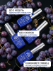 Гель лак кошачий глаз, Global Fashion, Fruit cat eyes 11D 8ml, 03, grape