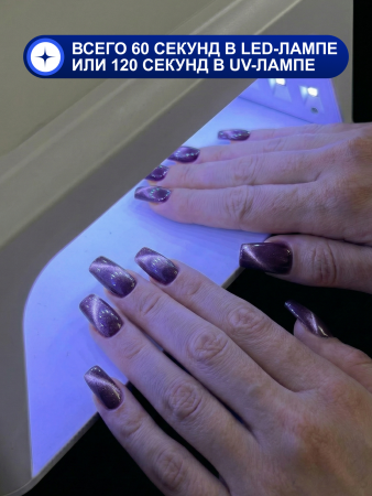 Гель лак кошачий глаз, Global Fashion, Fruit cat eyes 11D 8ml, 02, blueberry2